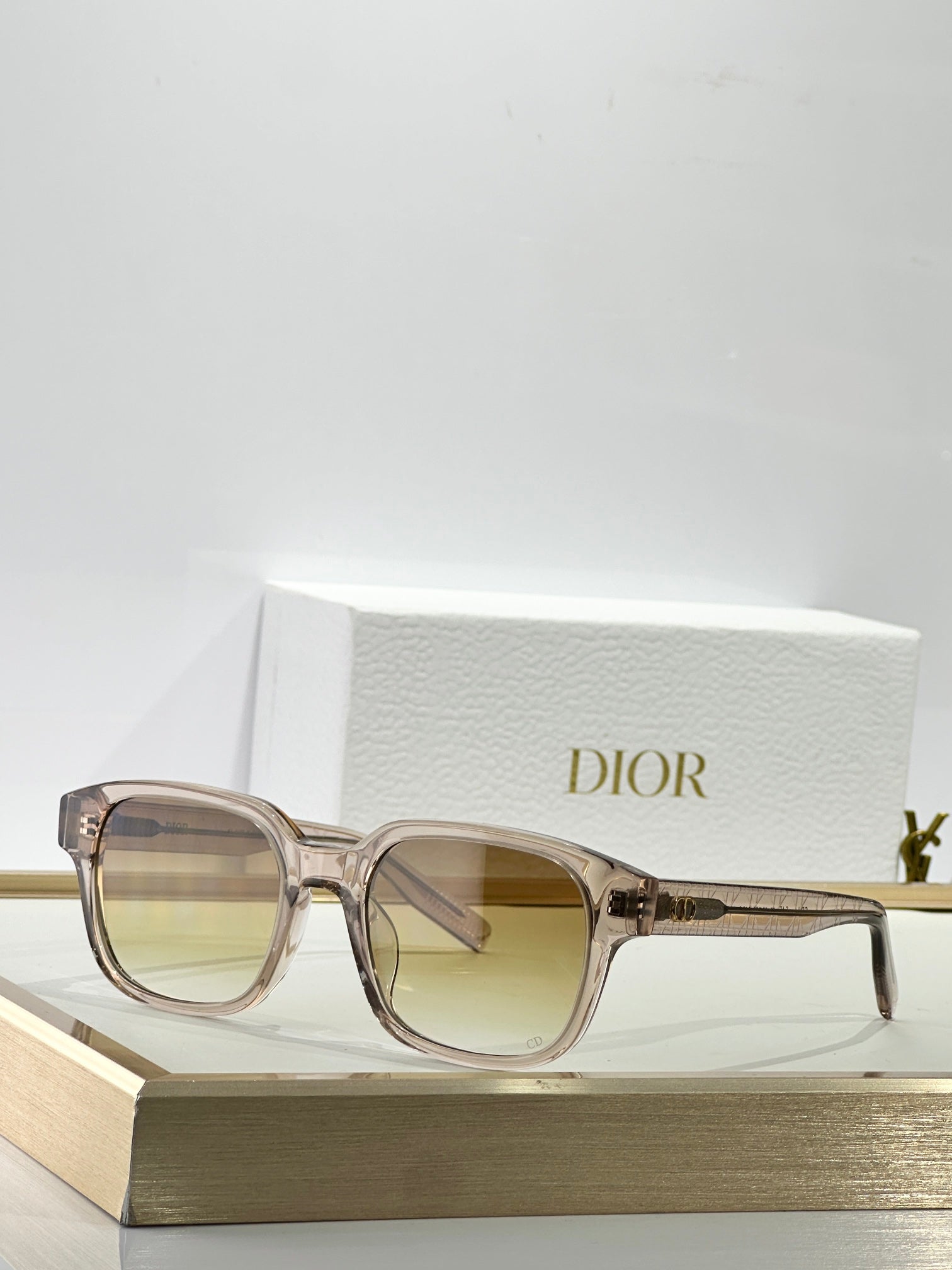 Dior CD Icon S4F Sunglasses