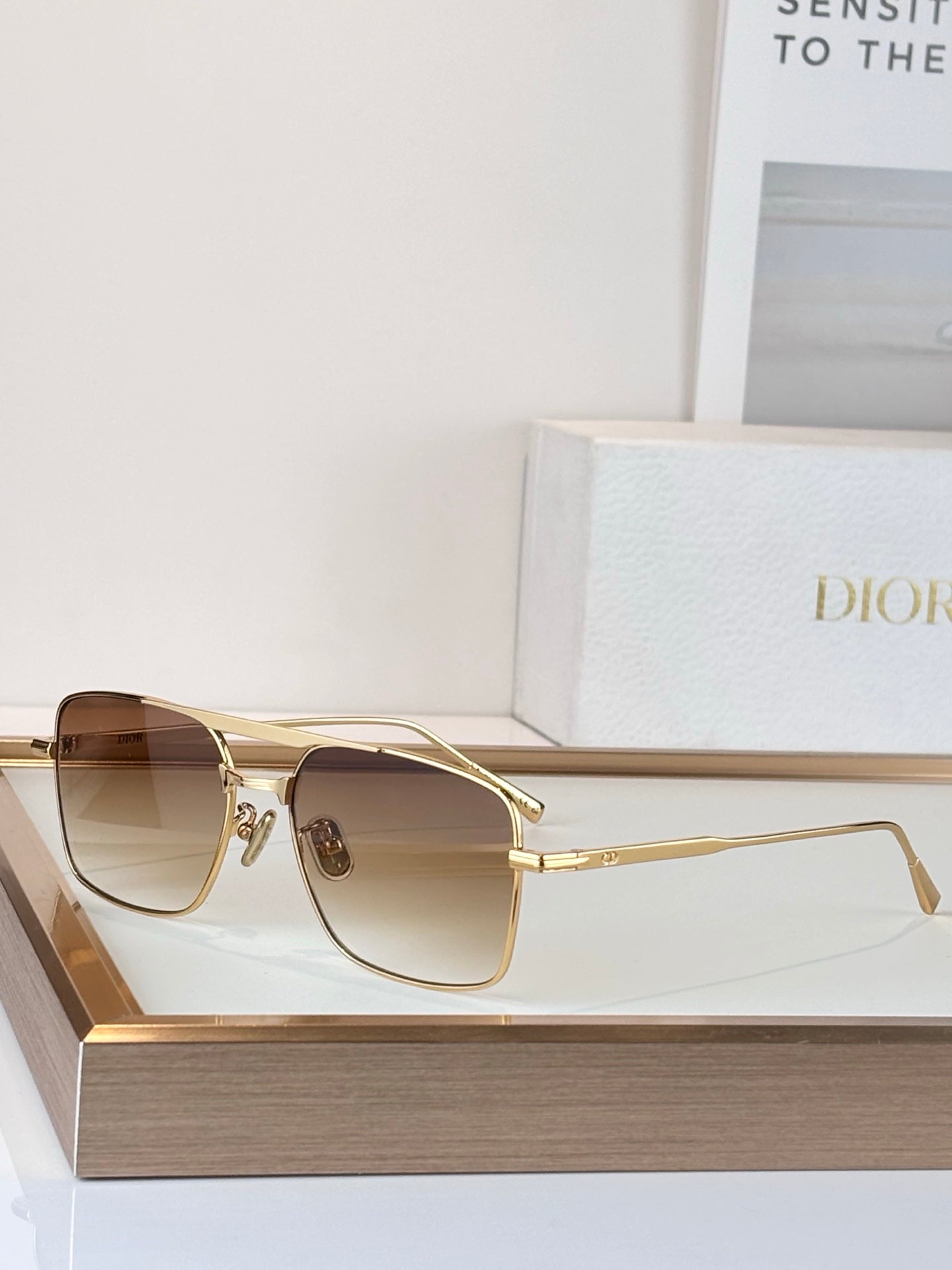 Dior DIORBLACKSUIT S17U Sunglasses