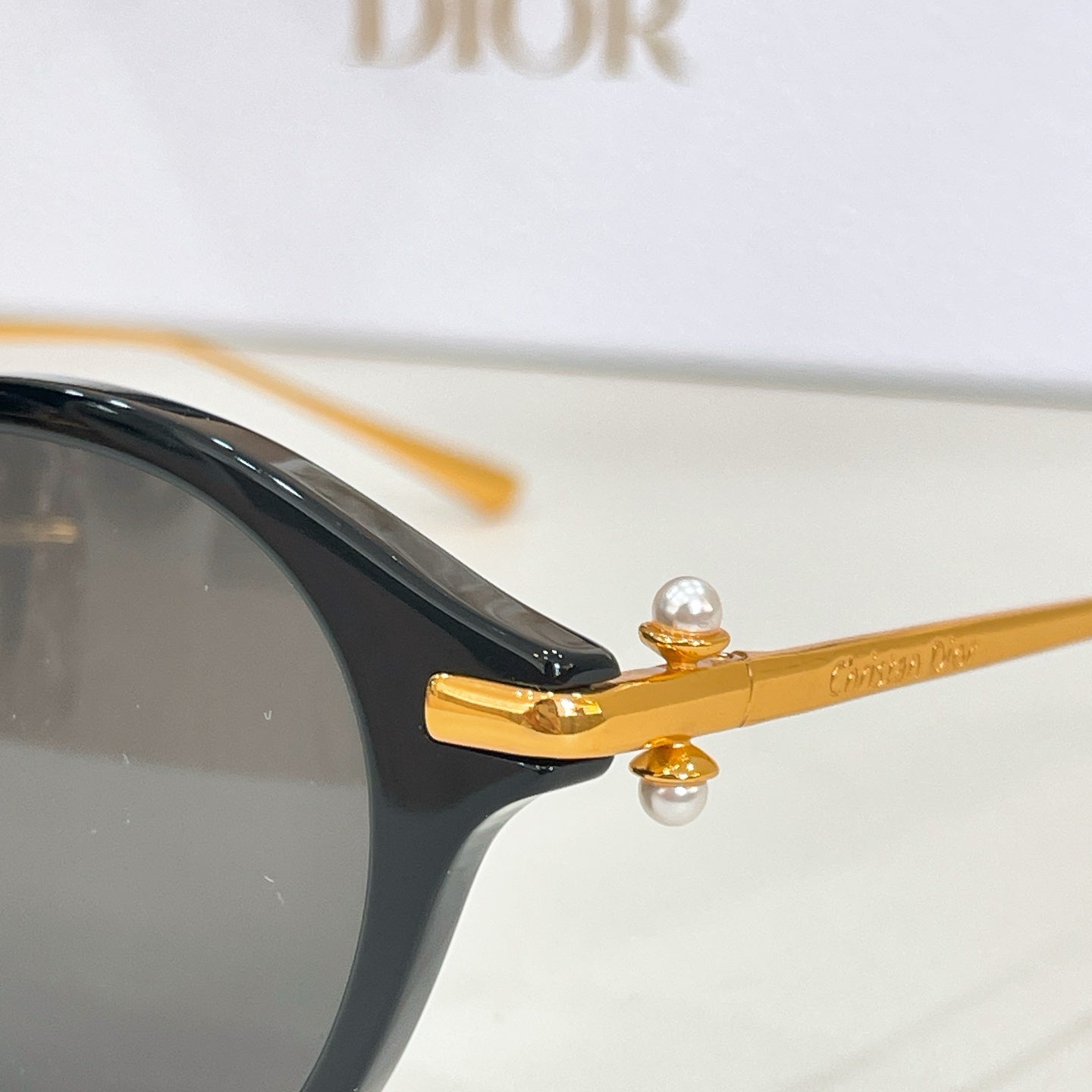 Dior Teibales S2U Sunglasses