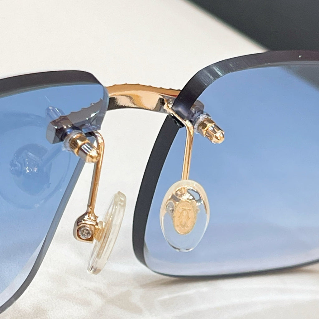Cartier CT0012 Sunglasses